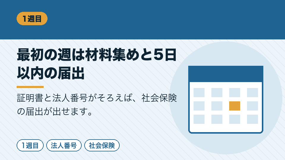 最初の週は材料集めと5日以内の届出